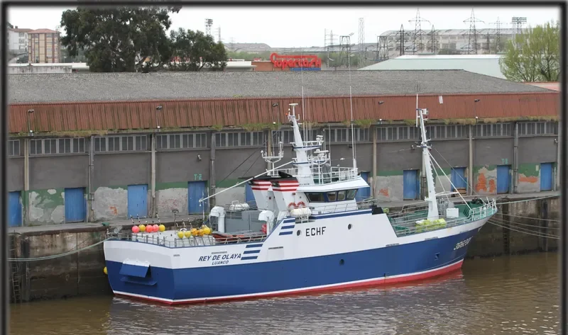 REY DE OLAYA General Cargo IMO 9348613 photo 4