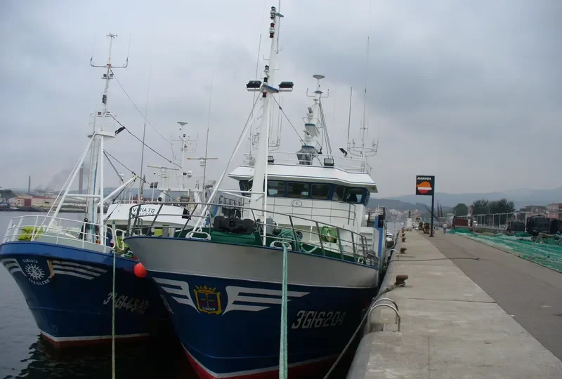 REY DE OLAYA General Cargo IMO 9348613 photo 7