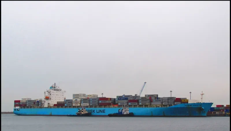 MEMPHIS Container Ship IMO 9348675