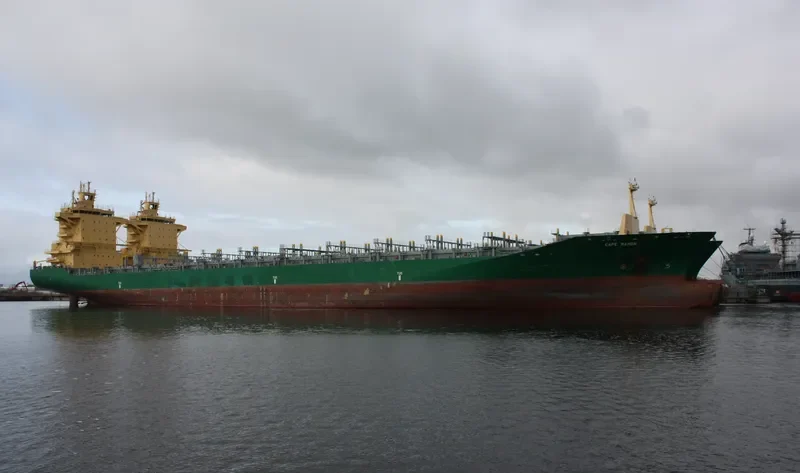 TS DALIAN Container Ship IMO 9348857 photo 8