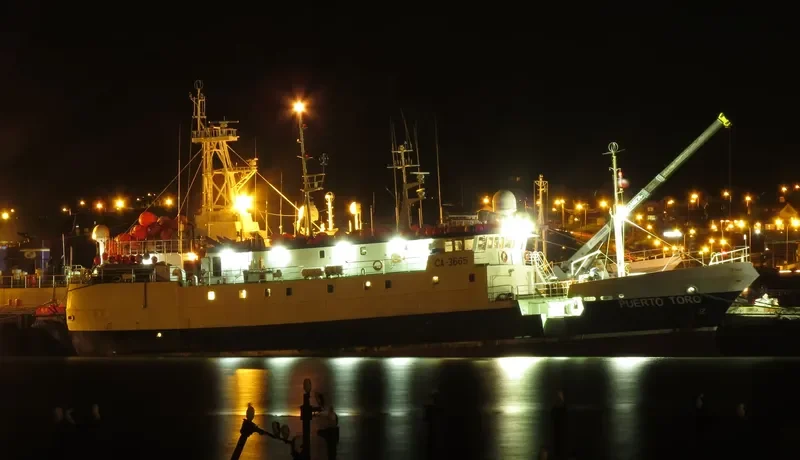 PUERTO TORO General Cargo IMO 9348869