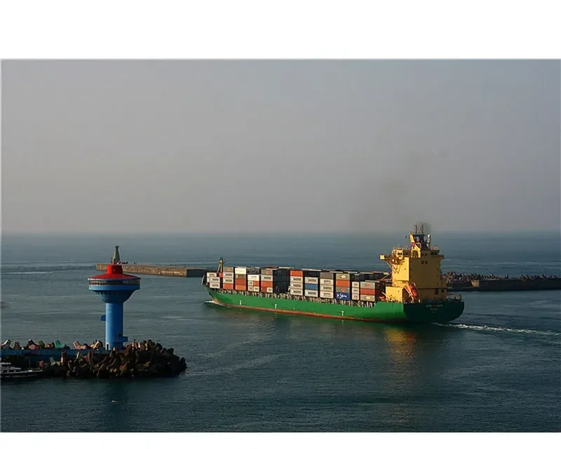 CAPE MAGNUS Container Ship IMO 9348900