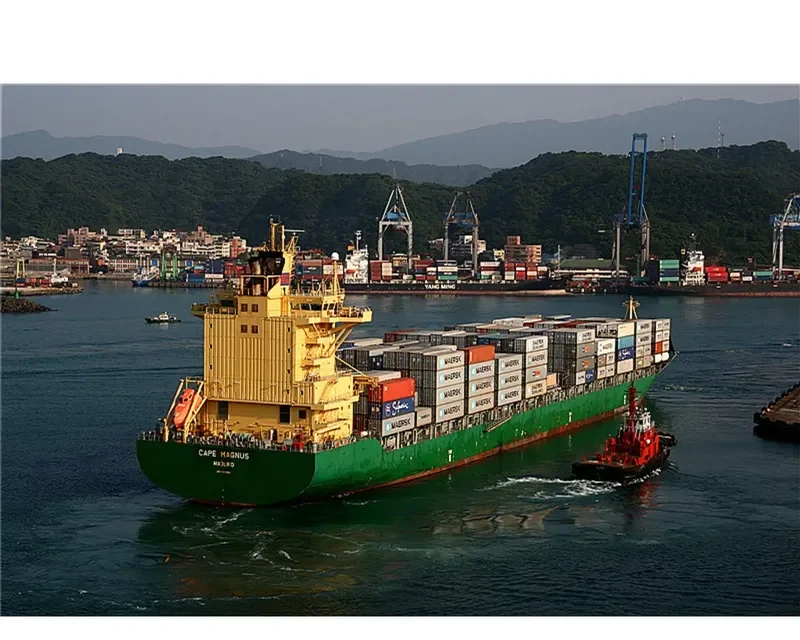 CAPE MAGNUS Container Ship IMO 9348900 photo 2