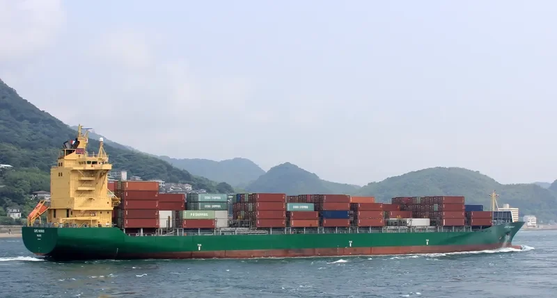 CAPE MAGNUS Container Ship IMO 9348900 photo 7