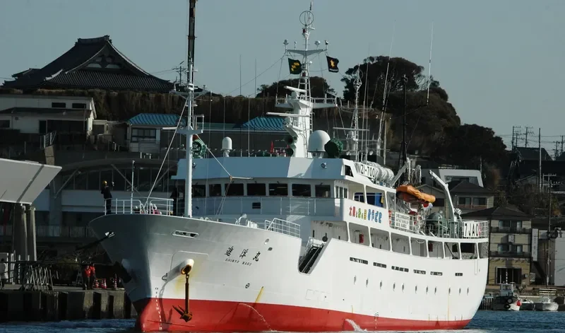 SHINYO MARU General Cargo IMO 9348962 photo 7