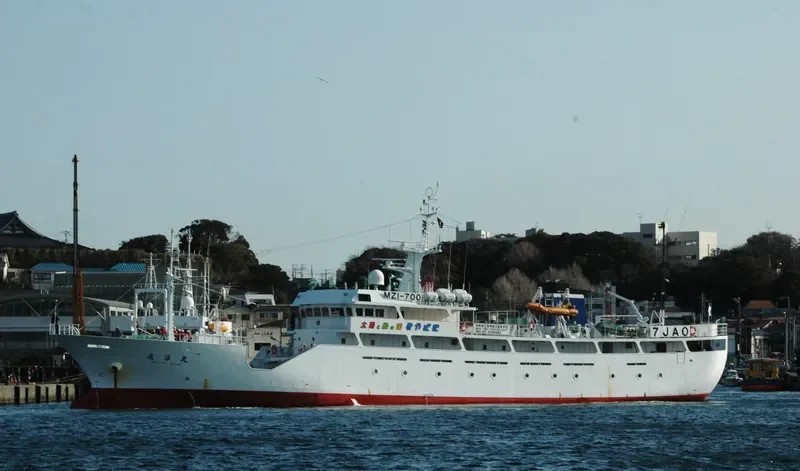 SHINYO MARU General Cargo IMO 9348962 photo 8