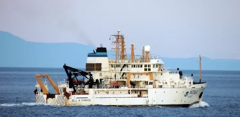BELL M.SHIMADA General Cargo IMO 9349069