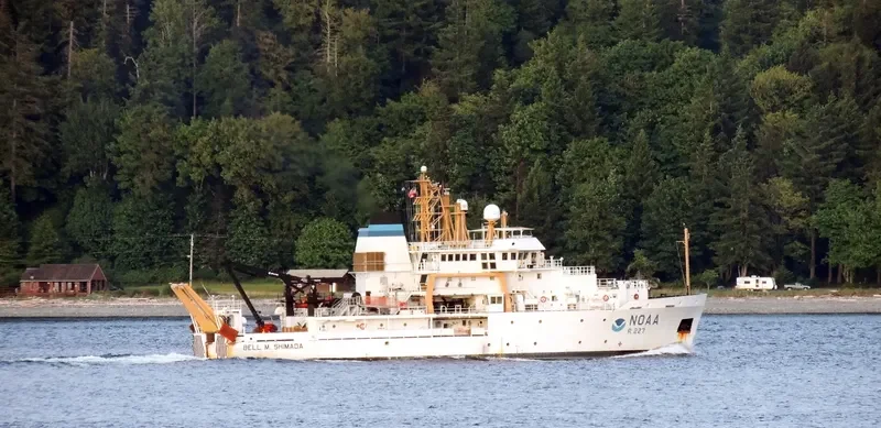 BELL M.SHIMADA General Cargo IMO 9349069 photo 2
