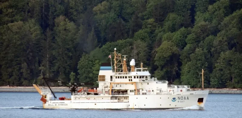BELL M.SHIMADA General Cargo IMO 9349069 photo 3