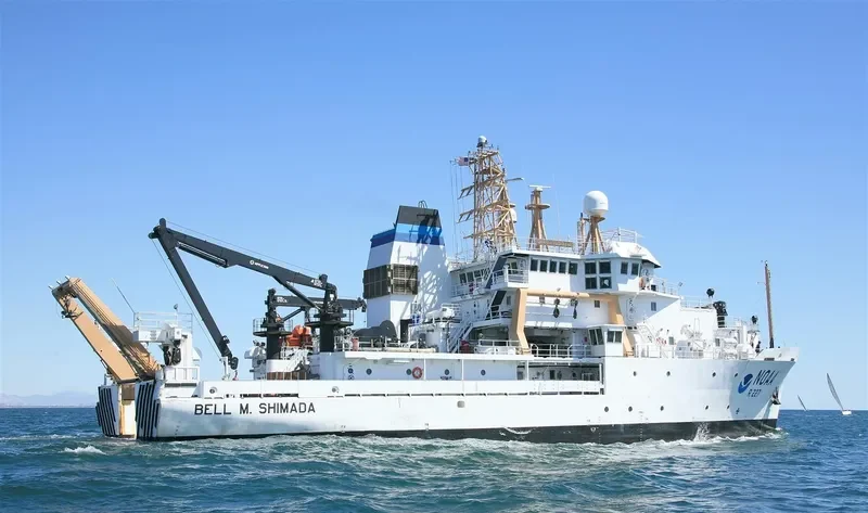 BELL M.SHIMADA General Cargo IMO 9349069 photo 4