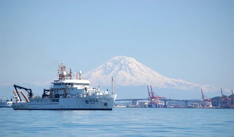 BELL M.SHIMADA General Cargo IMO 9349069 photo 5