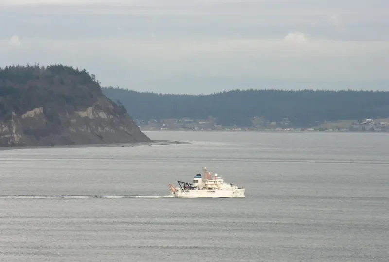 BELL M.SHIMADA General Cargo IMO 9349069 photo 7