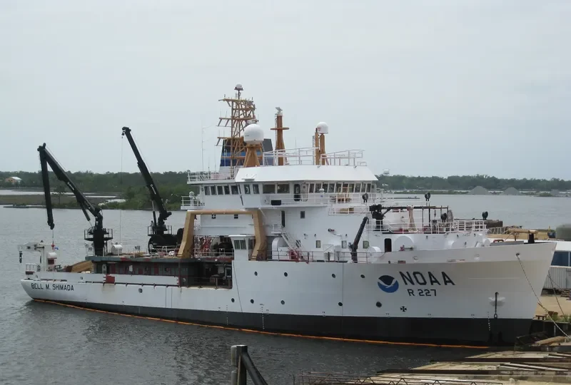 BELL M.SHIMADA General Cargo IMO 9349069 photo 9
