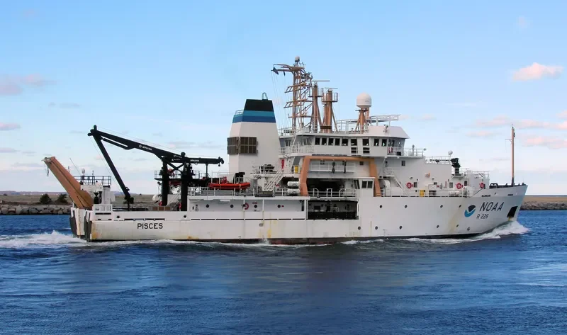 PISCES General Cargo IMO 9349071 photo 5
