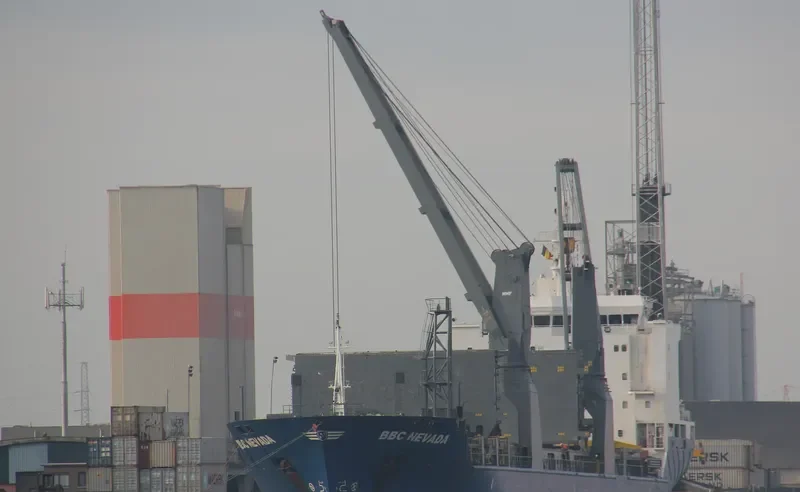 LADY D General Cargo IMO 9349289 photo 3