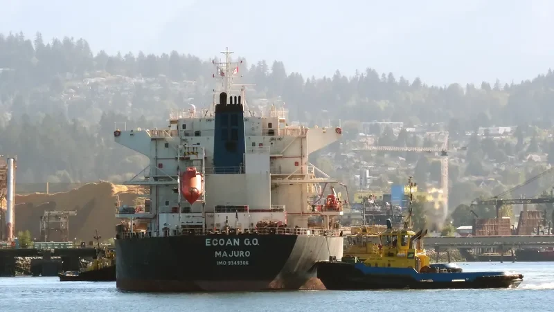 IVESTOS 9 Bulk Carrier IMO 9349306 photo 3