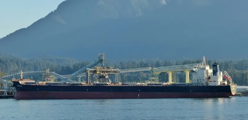 IVESTOS 9 Bulk Carrier IMO 9349306 photo 5