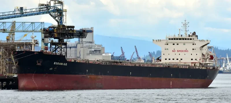 IVESTOS 9 Bulk Carrier IMO 9349306 photo 6