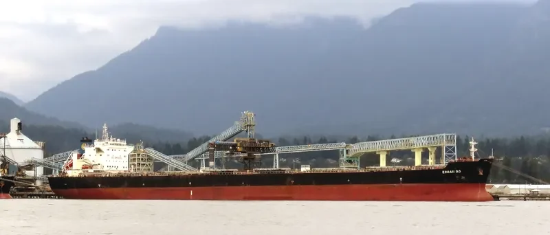 IVESTOS 9 Bulk Carrier IMO 9349306 photo 7