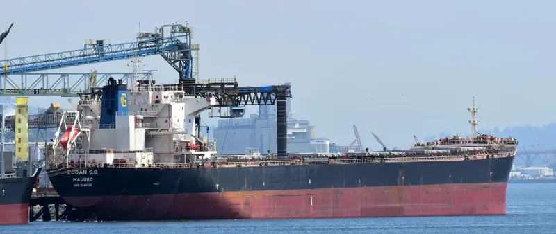 IVESTOS 9 Bulk Carrier IMO 9349306 photo 8