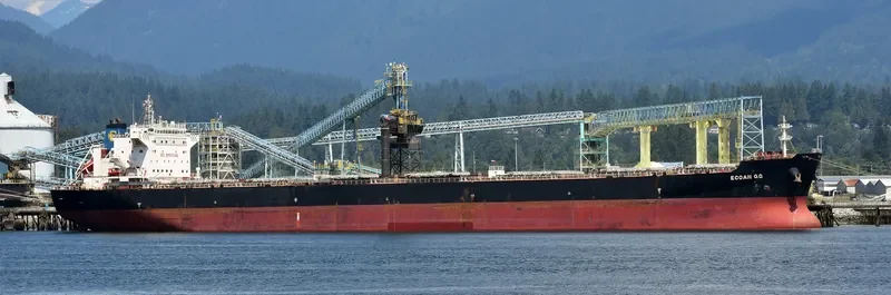 IVESTOS 9 Bulk Carrier IMO 9349306 photo 9
