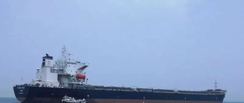 AFTERHOURS Bulk Carrier IMO 9349320 photo 4
