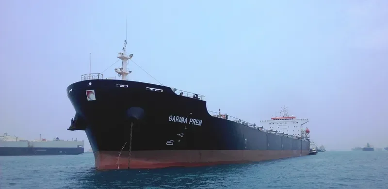 AFTERHOURS Bulk Carrier IMO 9349320 photo 5