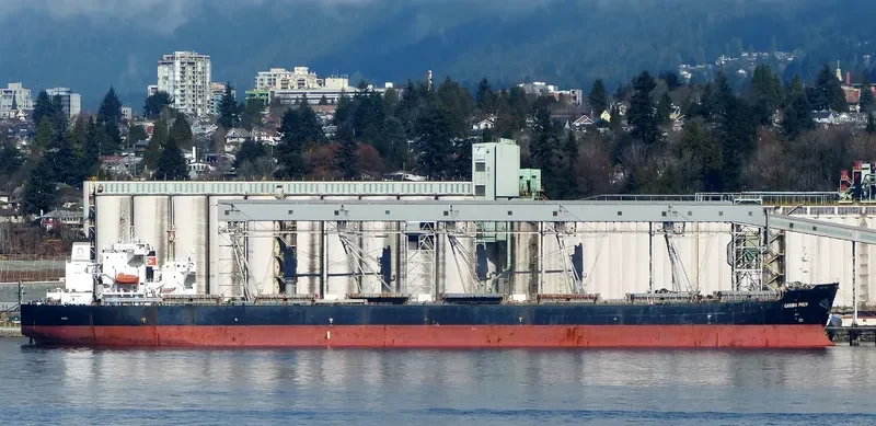 AFTERHOURS Bulk Carrier IMO 9349320 photo 6