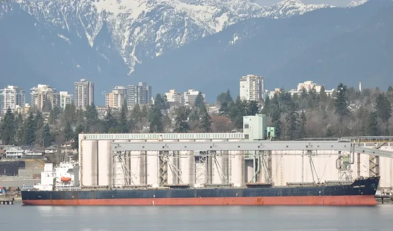 AFTERHOURS Bulk Carrier IMO 9349320 photo 7