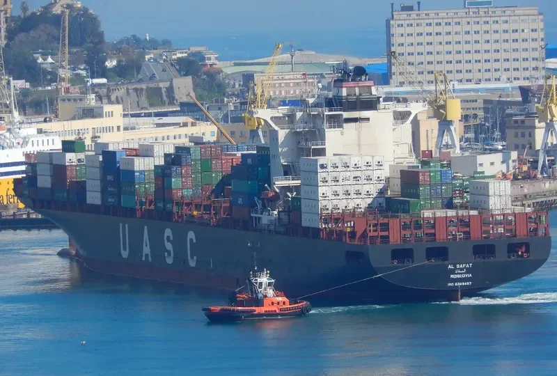 AL SAFAT Container Ship IMO 9349497 photo 7