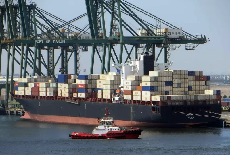 SHABDIS Container Ship IMO 9349588 photo 4