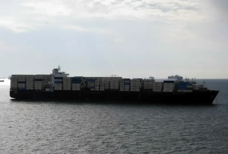 SHABDIS Container Ship IMO 9349588 photo 5