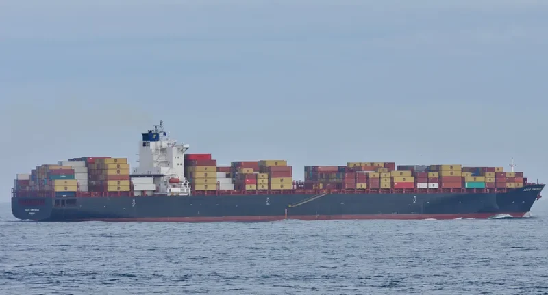 AGIOS DIMITRIOS Container Ship IMO 9349605 photo 2