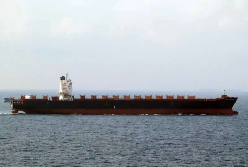 AGIOS DIMITRIOS Container Ship IMO 9349605 photo 9
