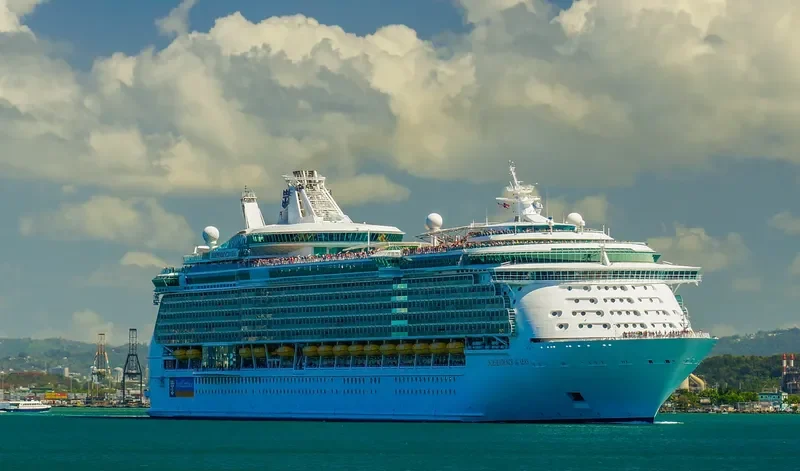 INDEPENDENCE OF THE SEAS Passenger Ship IMO 9349681 photo 4