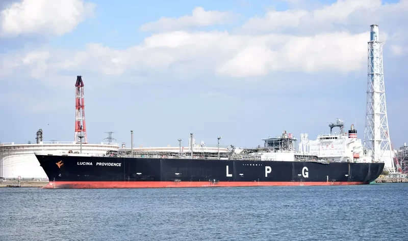 LUCINA PROVIDENCE General Cargo IMO 9349784 photo 5