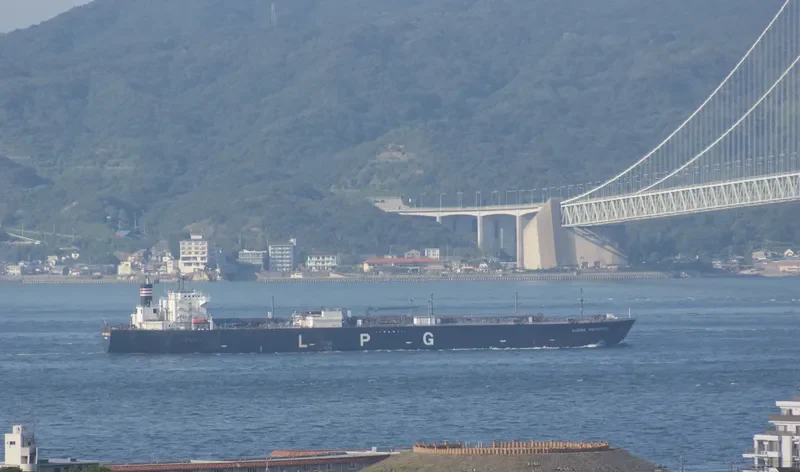 LUCINA PROVIDENCE General Cargo IMO 9349784 photo 6