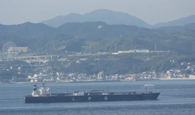 LUCINA PROVIDENCE General Cargo IMO 9349784 photo 7