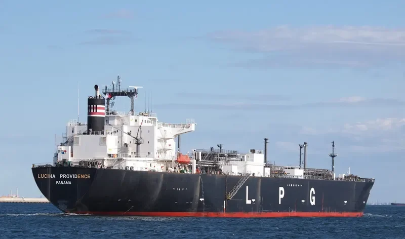 LUCINA PROVIDENCE General Cargo IMO 9349784 photo 8