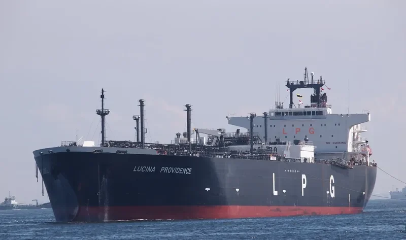 LUCINA PROVIDENCE General Cargo IMO 9349784 photo 10