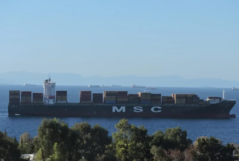MSC MONTEREY Container Ship IMO 9349796 photo 2