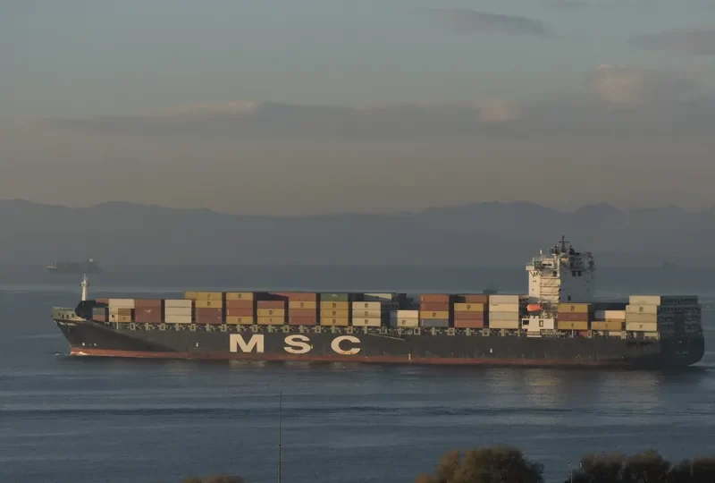MSC CARMEN Container Ship IMO 9349813 photo 2