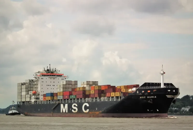 MSC NURIA Container Ship IMO 9349825 photo 2