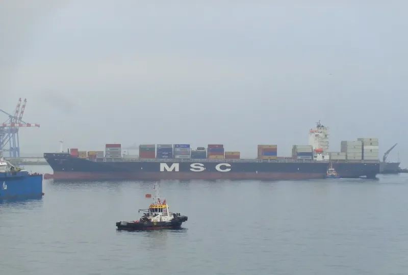 MSC NURIA Container Ship IMO 9349825 photo 6