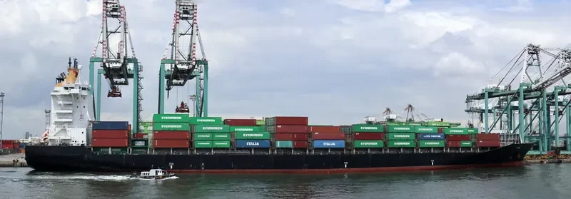PONA Container Ship IMO 9349875 photo 2