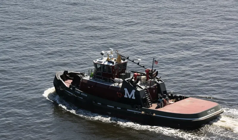 LYNNE MORAN General Cargo IMO 9349930 photo 2