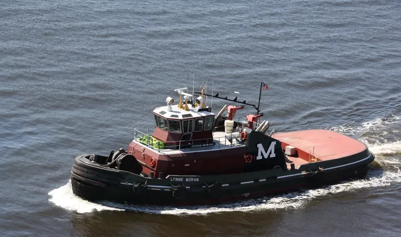 LYNNE MORAN General Cargo IMO 9349930 photo 3