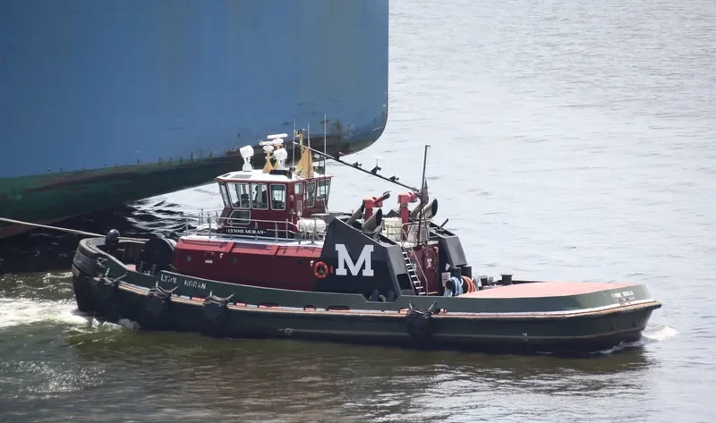 LYNNE MORAN General Cargo IMO 9349930 photo 4