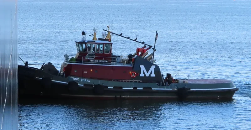 LYNNE MORAN General Cargo IMO 9349930 photo 7
