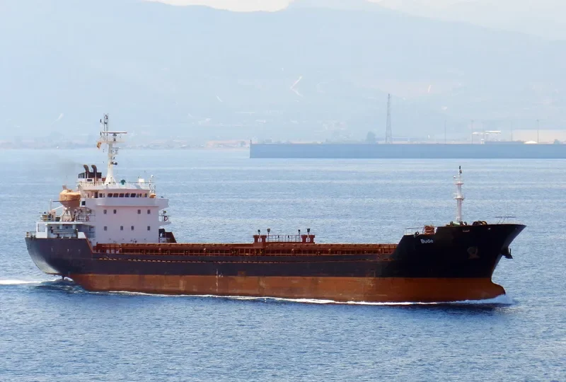 BURAK DEVAL Bulk Carrier IMO 9349978 photo 4